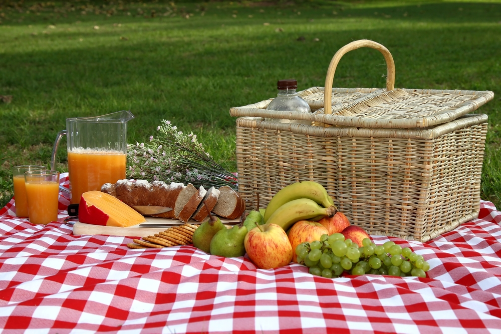 Picnic June 13